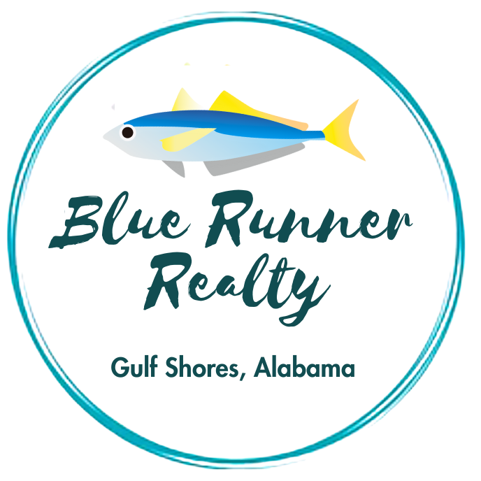 Blue Runner Realty Profit Recovery Infrastructure